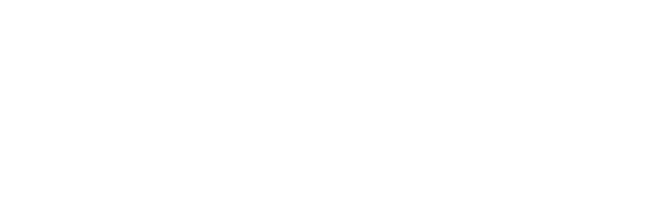 INSANIAX Logo
